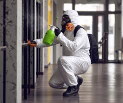 Mold Remediation for Vacation Homes in Lancaster, KY